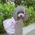 Panas Hewan Peliharaan Pakaian Anjing Kecil Lucu Stripes Gaun Putri Pakaian G14 Pink 1