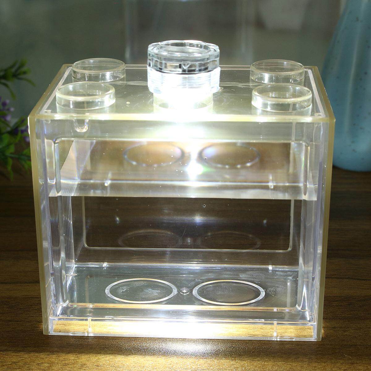 Clear ตู้ปลาขนาดเล็กหลอดไฟอควาเรียมแอลอีดี USB เดสก์ท็อปตกแต่งสำนักงาน - INTL