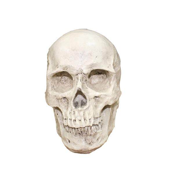 หัวกะโหลกเรซินมนุษย์ที่สมจริง Skull Gothic ฮาโลวีนของประดับตกแต่ง หัวกะโหลกเรซินมนุษย์ที่สมจริง Skull Gothic ฮาโลวีนของประดับตกแต่ง