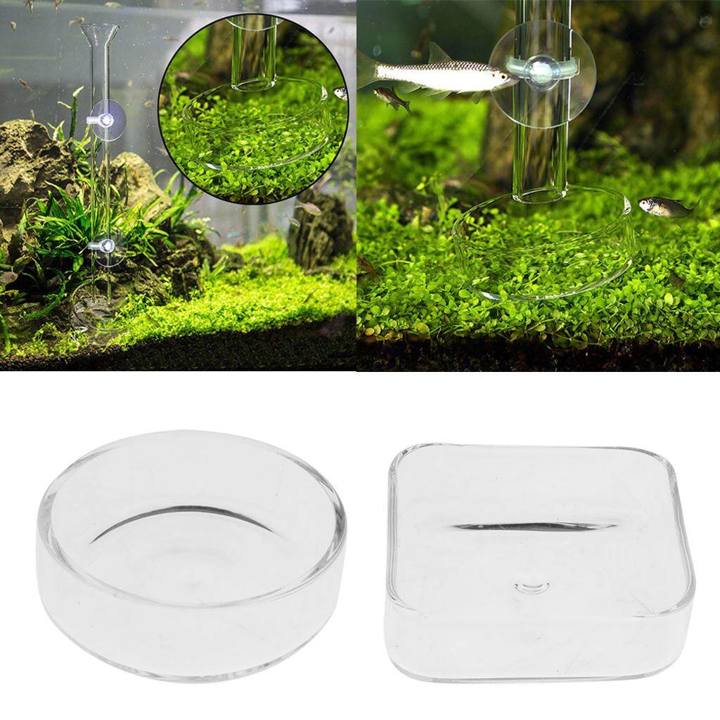 BolehDeals Set of 2, Aquarium Shrimp Feeding Food Dish Tray Feeder Container Fish Aquarium Feeder ( Square & Round Shape ) BolehDeals Set of 2, Aquarium Shrimp Feeding Food Dish Tray Feeder Container Fish Aquarium Feeder ( Square & Round Shape )