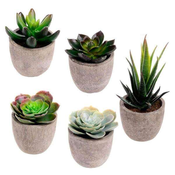 Assorted Decorative Faux Succulent Artificial Succulent Cactus Fake Cacti Plants with Gray Pots, Set of 5 Free Shipping