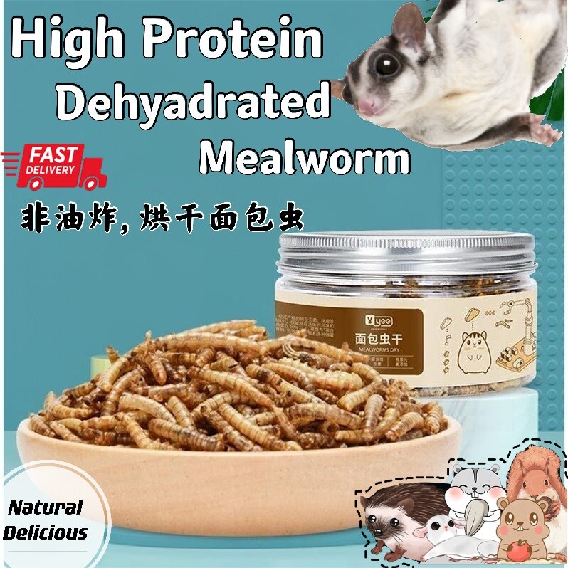 Sugar Glider Meal Worm Snack Hamster Hedgehog Healthy Treats 蜜袋鼯零食 面包虫干