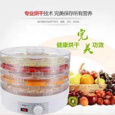 Food Dehydrator Fruit Vegetable Herb Meat Drying Machine Snacks Food Dryer Fruit dehydrator with 5 trays