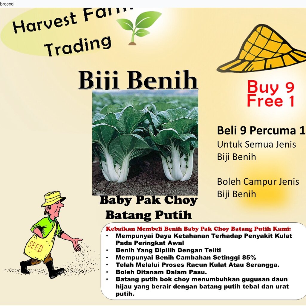 Biji BENIH SAWI FAN PAK CHOY Renek 150Pcs Vegetables Seeds Sawi Pak