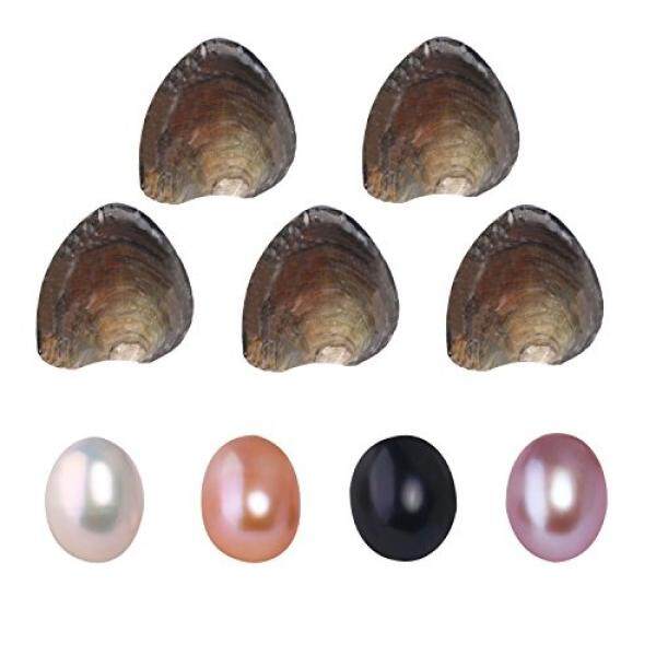 Perhiasan Mewah Kelas Air Tawar Berbudaya Cinta Tiram Mutiara Wish Oval Mutiara dengan Putih/Berwarna Merah Muda/Ungu/Hitam hadiah Ulang Tahun Pesta Mutiara, Tiram Mutiara Di Dalam-Intl