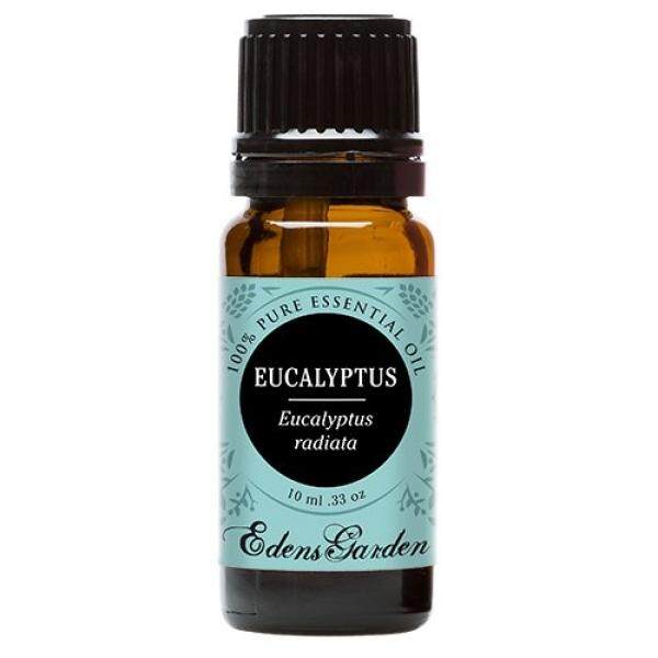 Radius Kayu Putih 100% Murni Therapeutic Kelas Esensial Minyak Oleh Edens Taman-10 Ml-Internasional