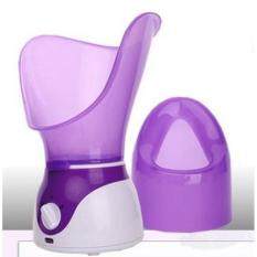 Home hot steam deep layer of replenishment steamer, facial hot spray water meter, spray machine steaming purple H;