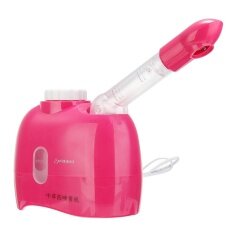 Professional Portable Mini Desktop Facial Steamer OZone Skin Spa Salon Beauty —— Rose