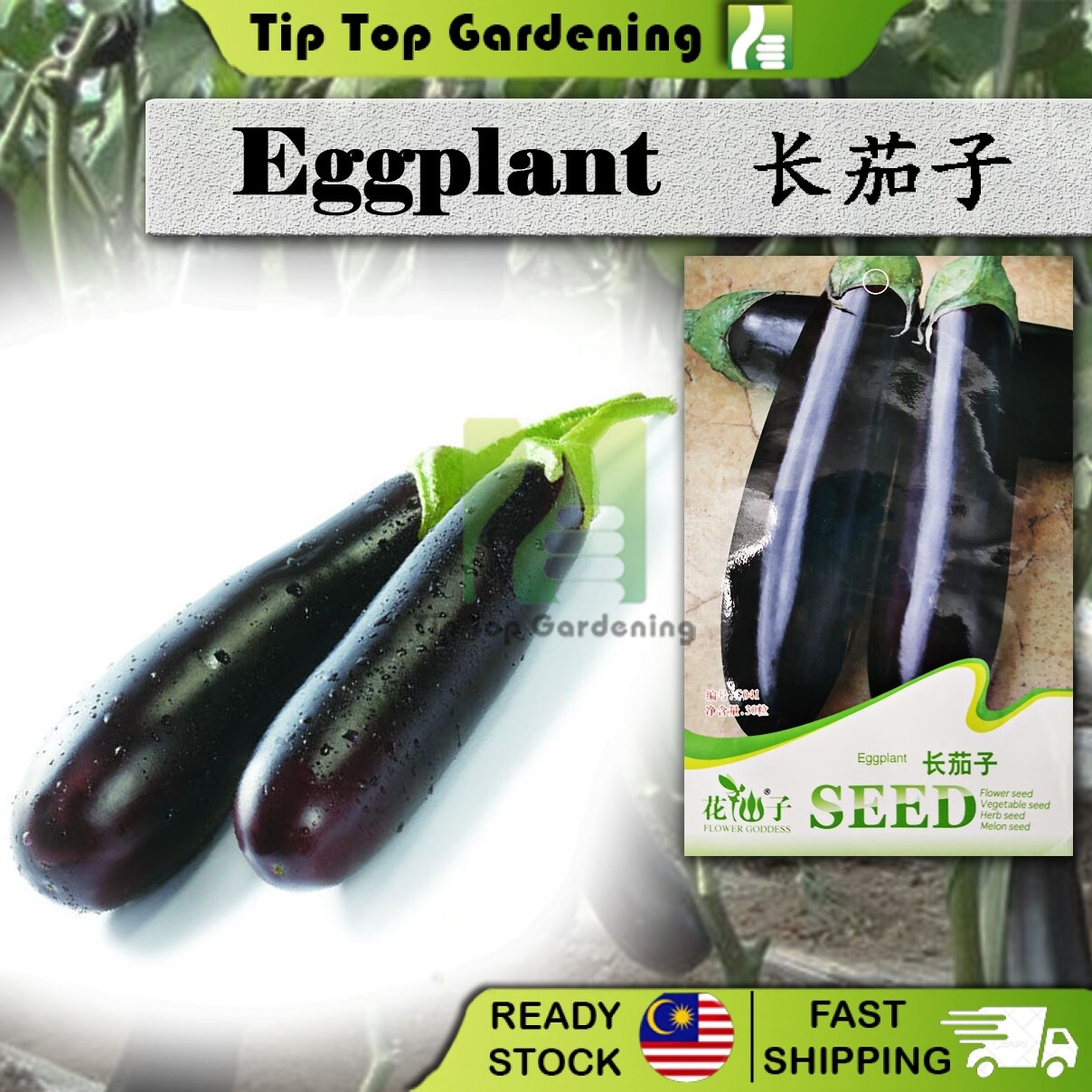 Expiredbiji Benih C Long Eggplant Flower Goddess Vegetable Flower