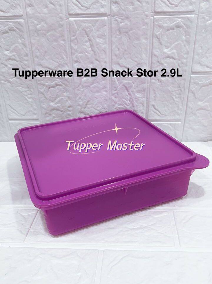 Tupperware B B Snack Stor L Lazada