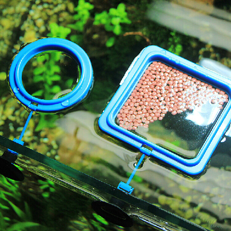 Rainbow Site Aquarium ตู้ปลาแหวนวงกลม Feeder สถานีให้อาหาร FLOAT ลอยอาหาร - รอบ - INTL Rainbow Site Aquarium ตู้ปลาแหวนวงกลม Feeder สถานีให้อาหาร FLOAT ลอยอาหาร - รอบ - INTL
