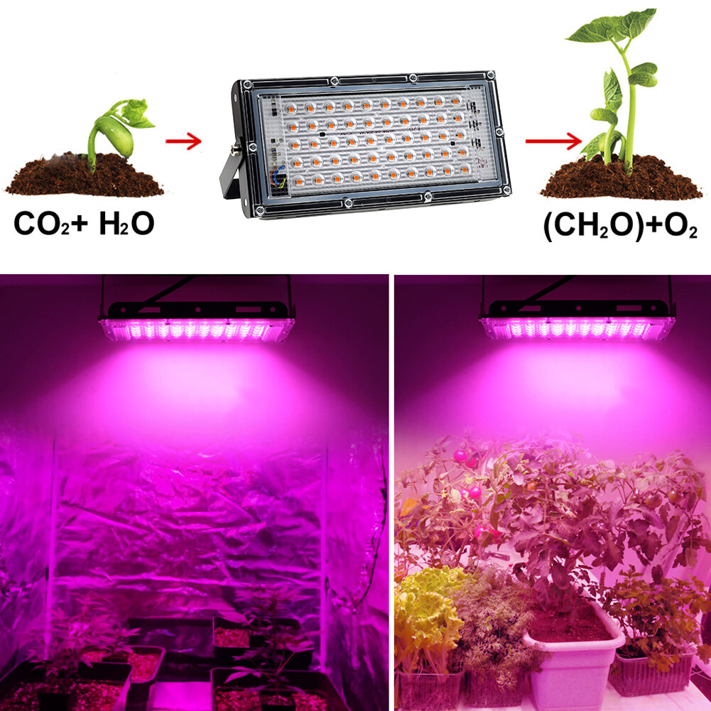 Led Grow Tree Light Ac V W Led Plant Growing Lamps Tree Planting