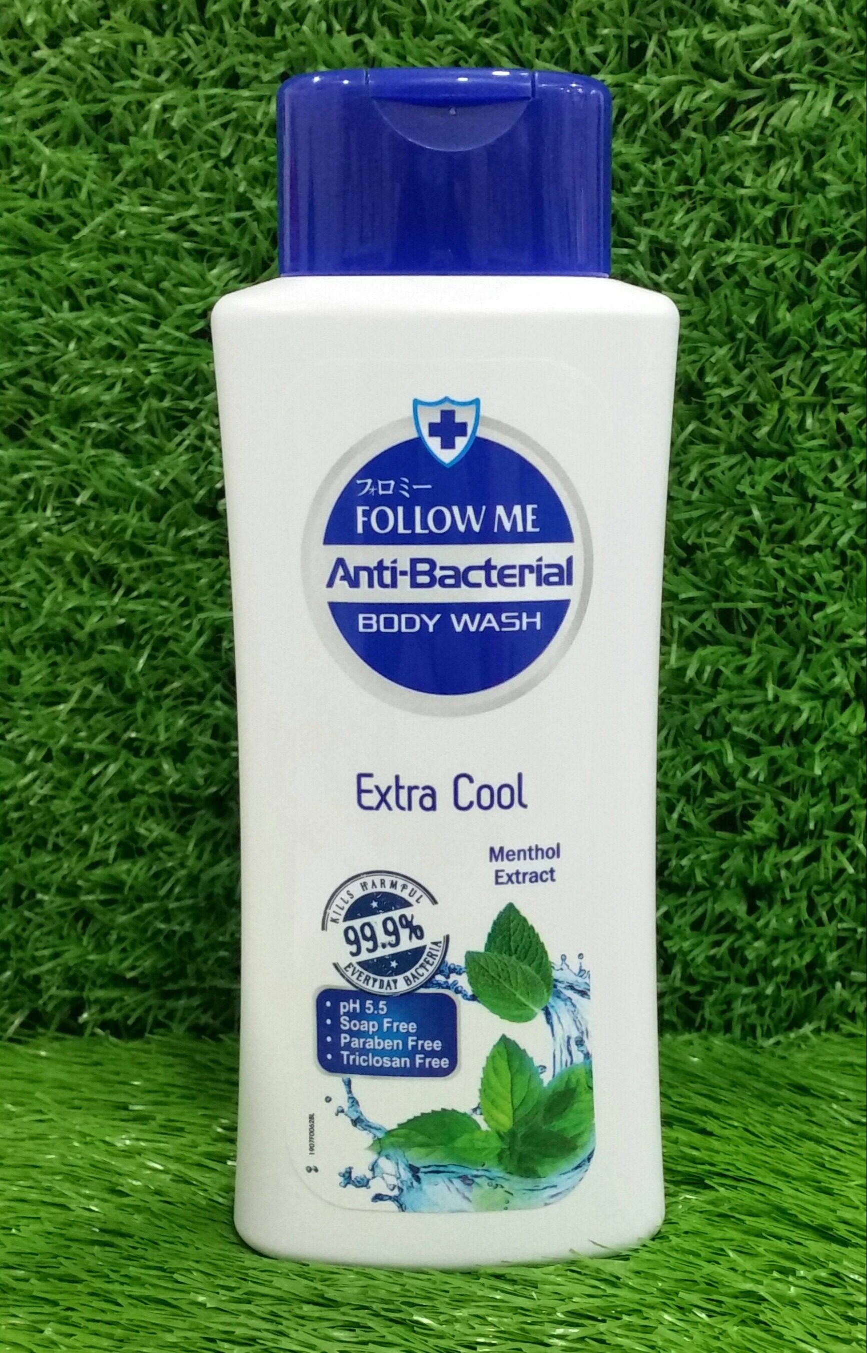 FOLLOW ME ANTIBACTERIAL BODY WASH EXTRA COOL MENTHOL 220ML Lazada