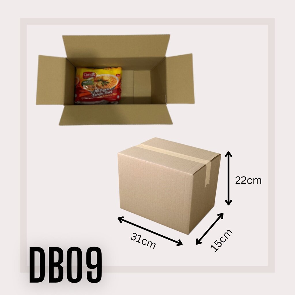 Doublebox Packaging Box Carton Box Packing Box Paper Boxes Kotak Lazada