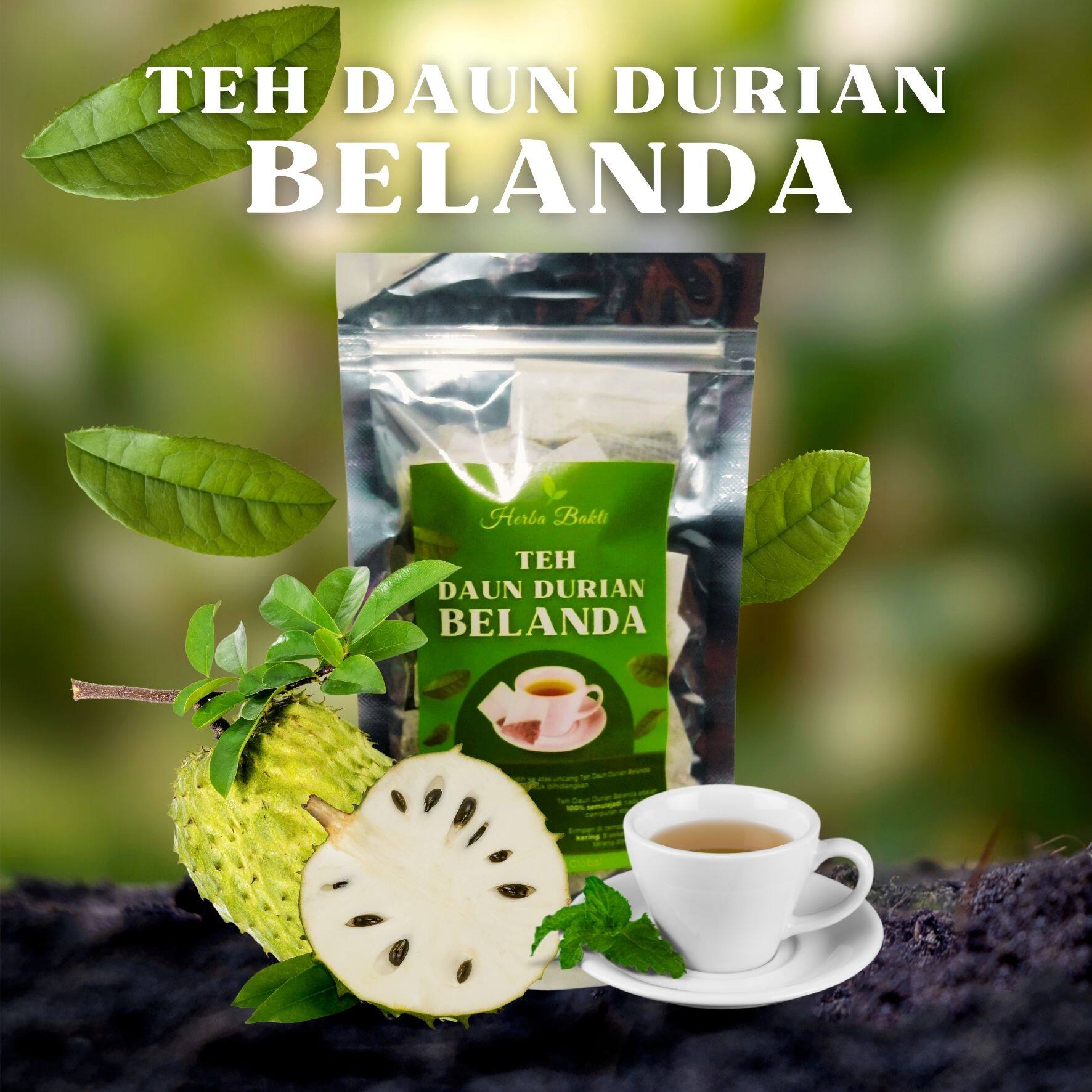 Teh Daun Durian Belanda Khasiat Lazada