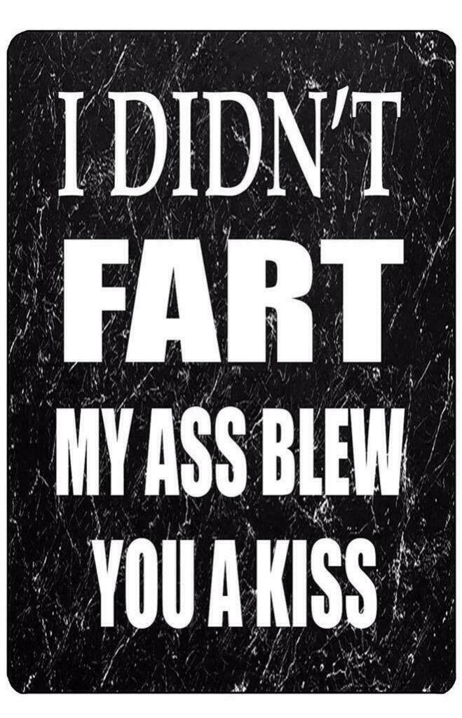 Metal Tin Funny Sarcastic Sign Didnt Fart My A S Blew KISS Man Cave