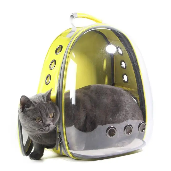 cat transparent backpack