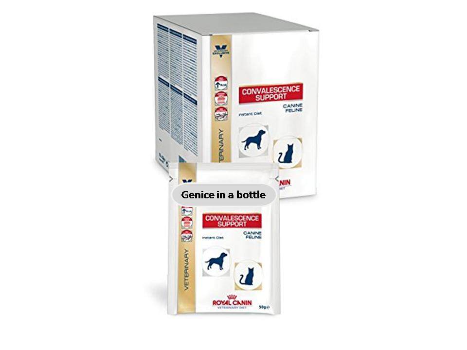 royal canin convalescence support feline