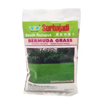 Serbajadi Bermuda Grass 100gm Approx 85sq Ft Lazada