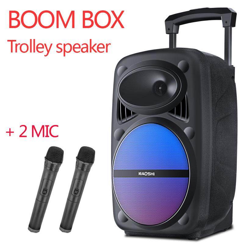 portable music system with mic