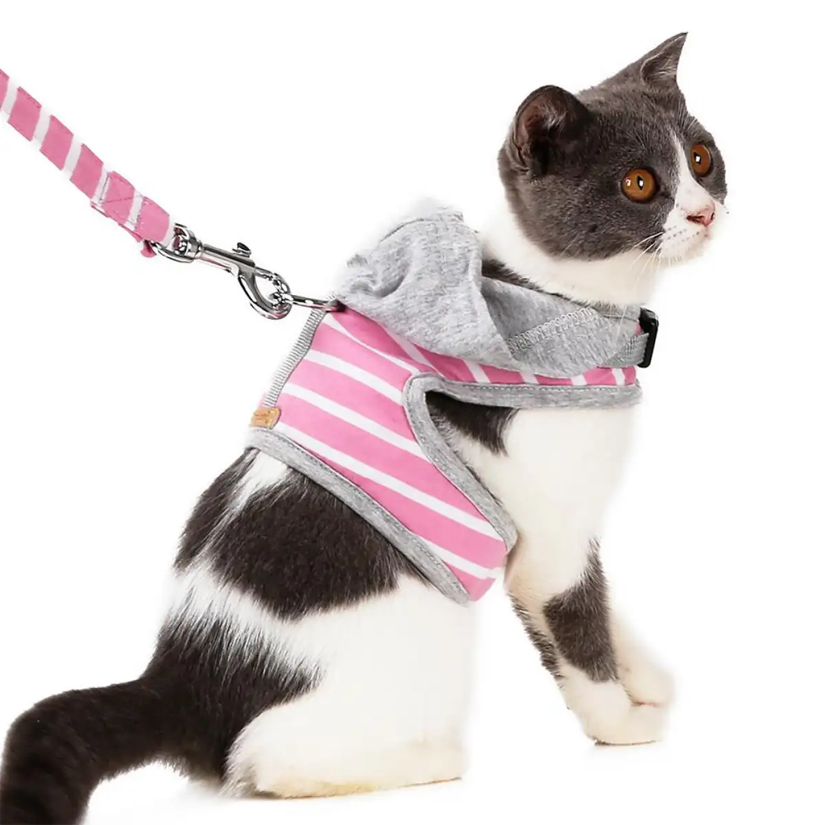 cat harness lazada
