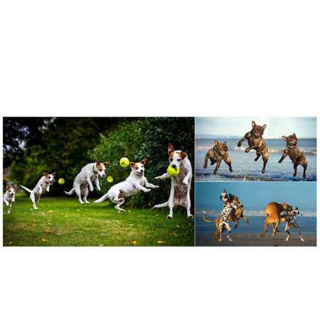 Starmall Action กล้องถ่ายรูปความละเอียดสูงมาก 4 พัน WiFi รีโมทคอนโทรลกีฬาวิดีโอกล้องวิดีโอ DVR DV กันน้ำกล้องมืออาชีพ