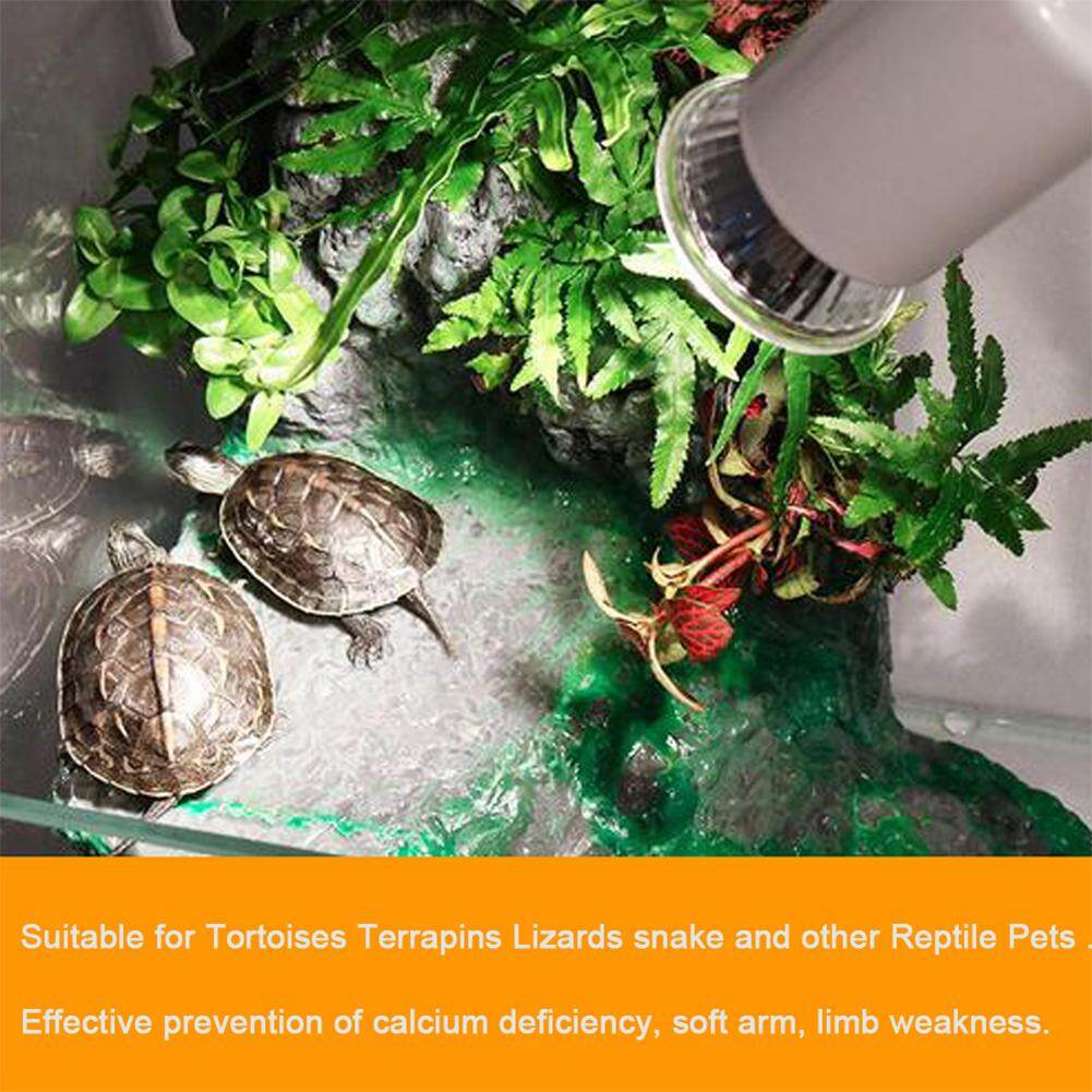 tortoise uv strip light