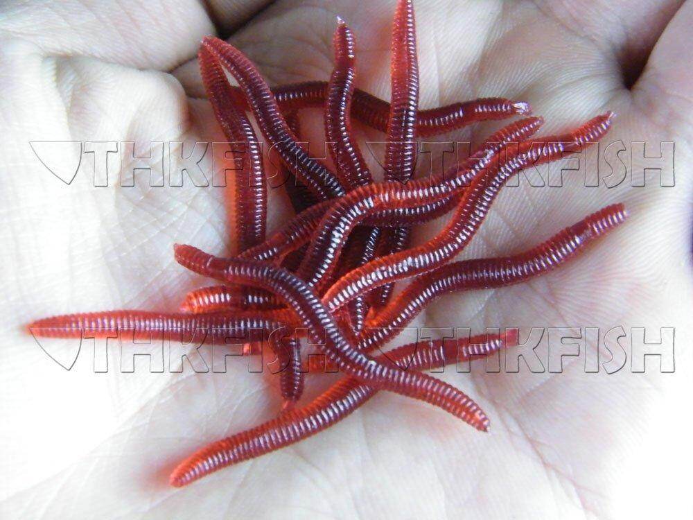 LAkutterfly 80pcs Earthworm Red Worms Soft Fishing Lure Baits