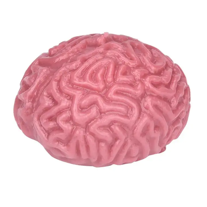 fun brain toys