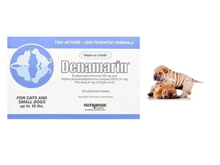 buy denamarin online