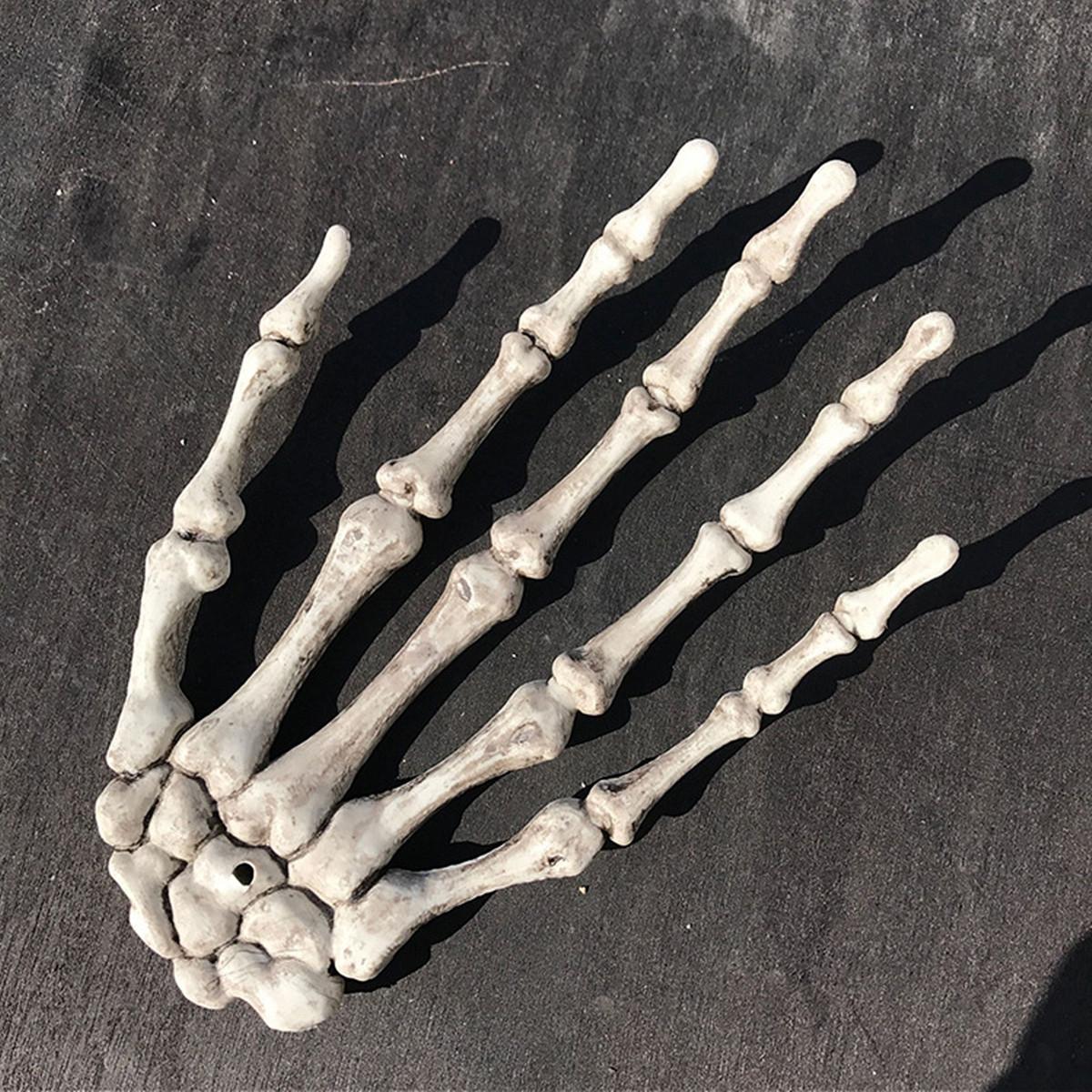Miscevious Skeleton 【การจัดส่ง + ข้อเสนอฉับพลัน】2x Skeletonกรงเล็บกะโหลกมือกระดูก ...