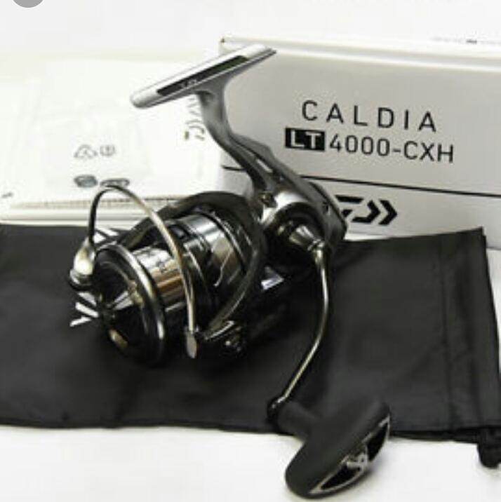 リール DAIWA CALDIA LT 4000-cxh Daiwa 25 Caldia LT4000-CXH