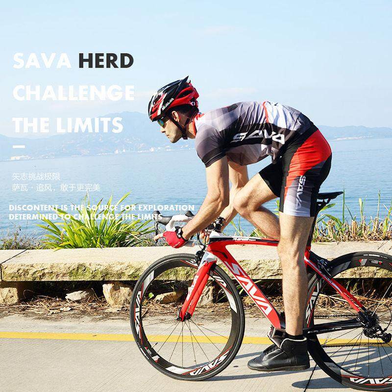 sava herd 6.0