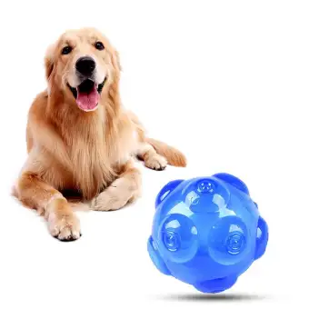 soft rubber dog balls