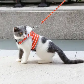 cat harness lazada
