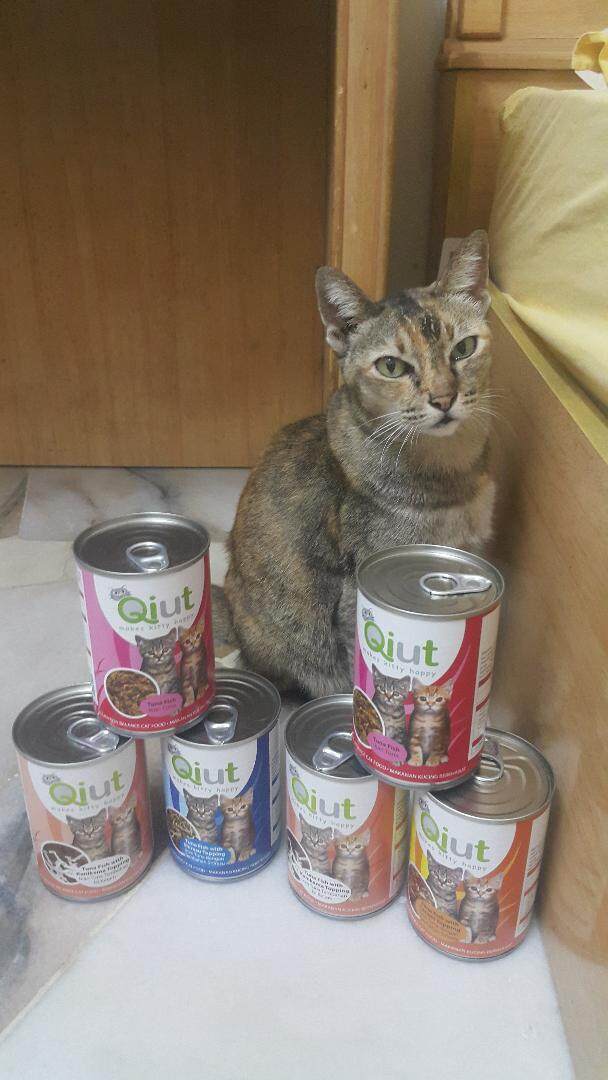 Cat Food Buy Sell Online Cat Wet Food With Cheap Price Lazada Energy revolution / qiut coal. lazada