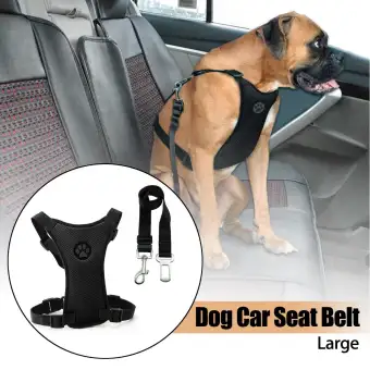 dog safety leash car seat belt