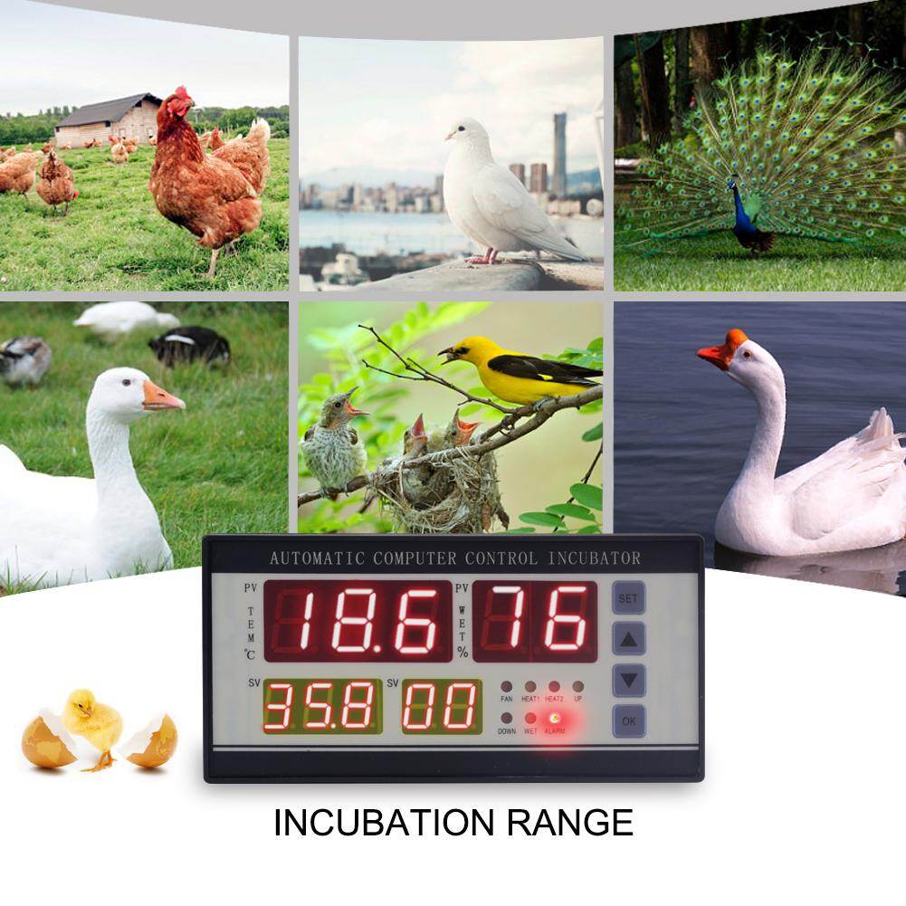 YIERYI XM-18 Digital Egg Incubator Fully Automatic, Hatchery Machine Thermostat Incubator Controller with Temperature Humidity Sensor for Chicken