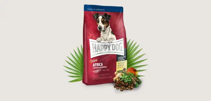 happy dog mini africa
