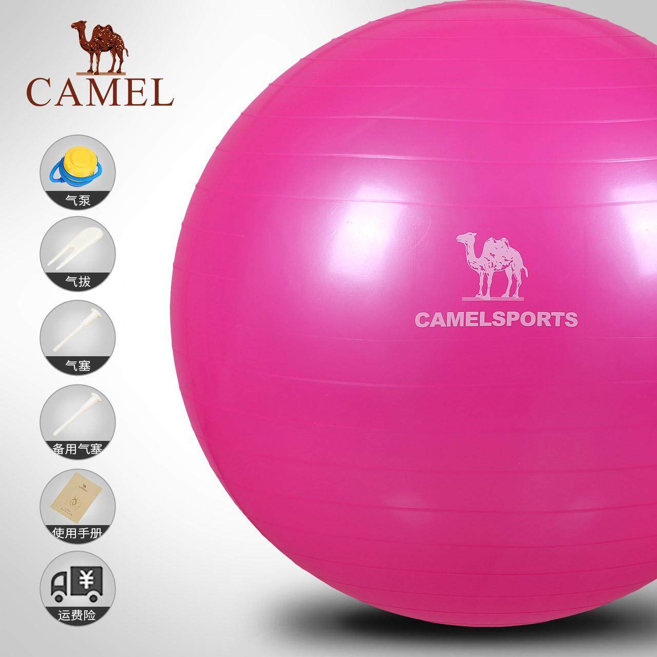 Camel 65cm Diameter Anti Burst Yoga Ball Gym Fitness Ball Exercise Ball