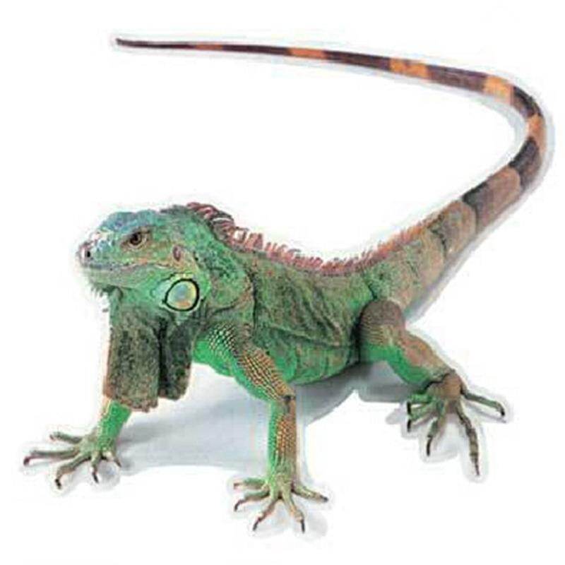 1Pcs 3D Car Sticker Simulation Animals Bumper Sticker 3D Lizard Decal Car Head Engine Cover Rearview Mirror Windows Decoration