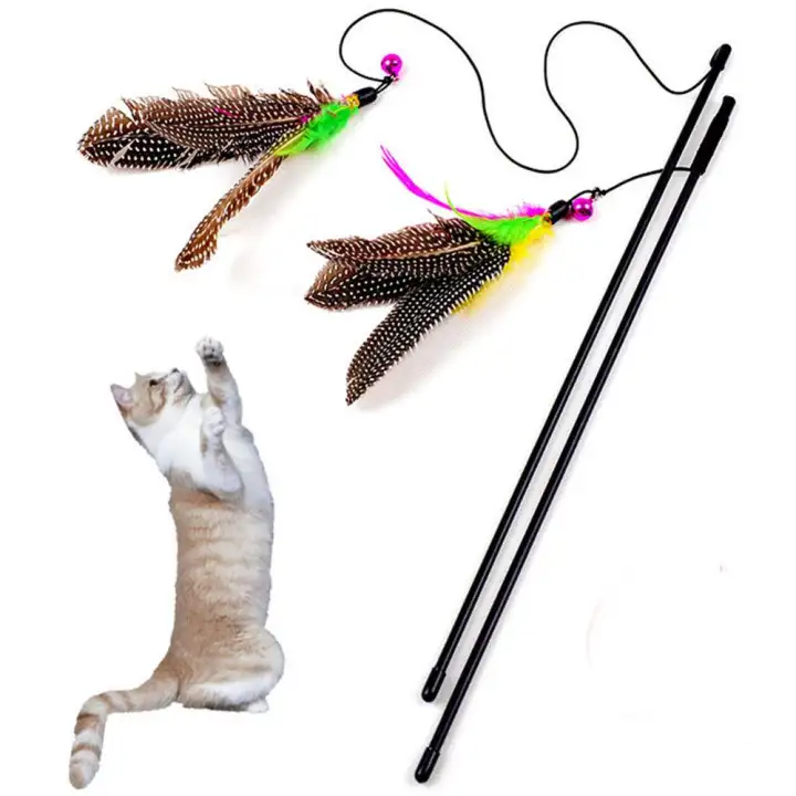 cat toys lazada