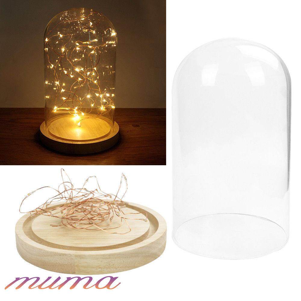 Large Glass Display Cloche Bell Jar Dome With Wooden Base + Fairy Light - intl