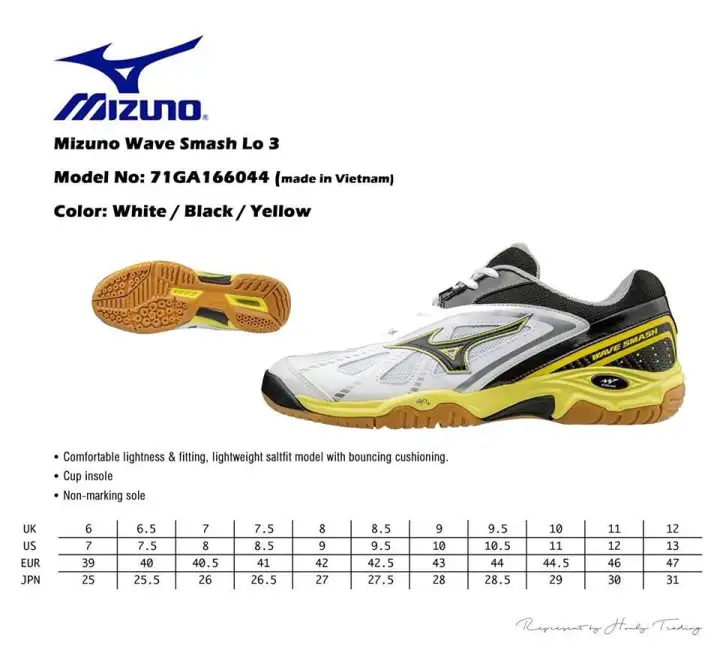 mizuno badminton shoes malaysia