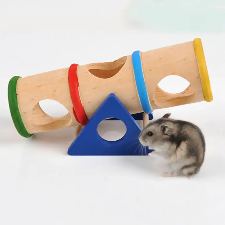 dwarf hamster playground