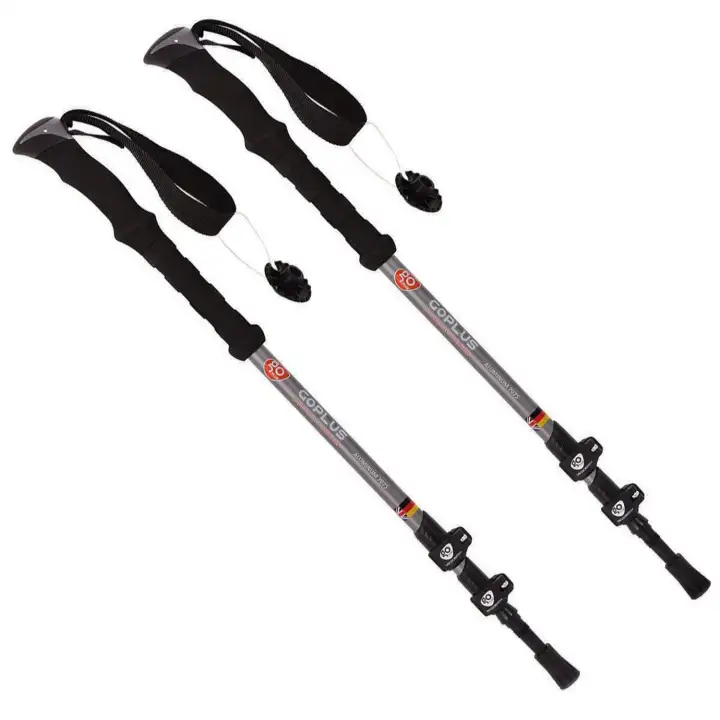 carbon hiking pole