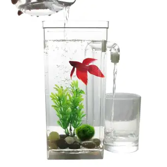 lazada betta fish