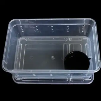 Terrarium For Reptiles Transparent Plastic Box Insect Reptile