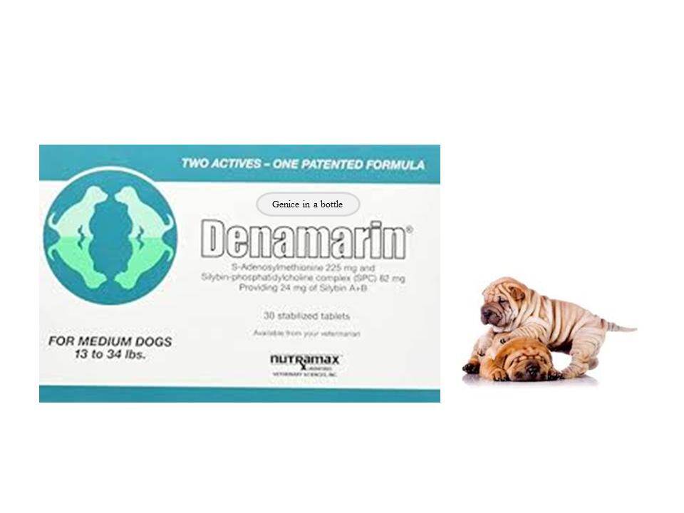 buy denamarin online