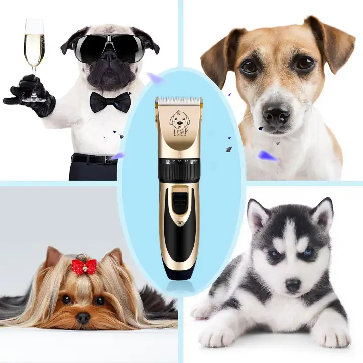 Cny 2020 Iflashdeal Kucing Peliharaan Anjing Rambut Kebisingan